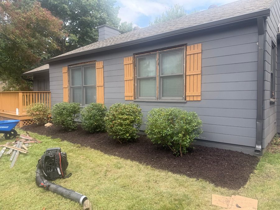 Overgrown hedges before trimming