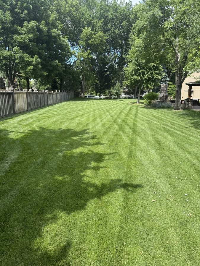 Professional lawn mowing with perfect stripes - Johnson County