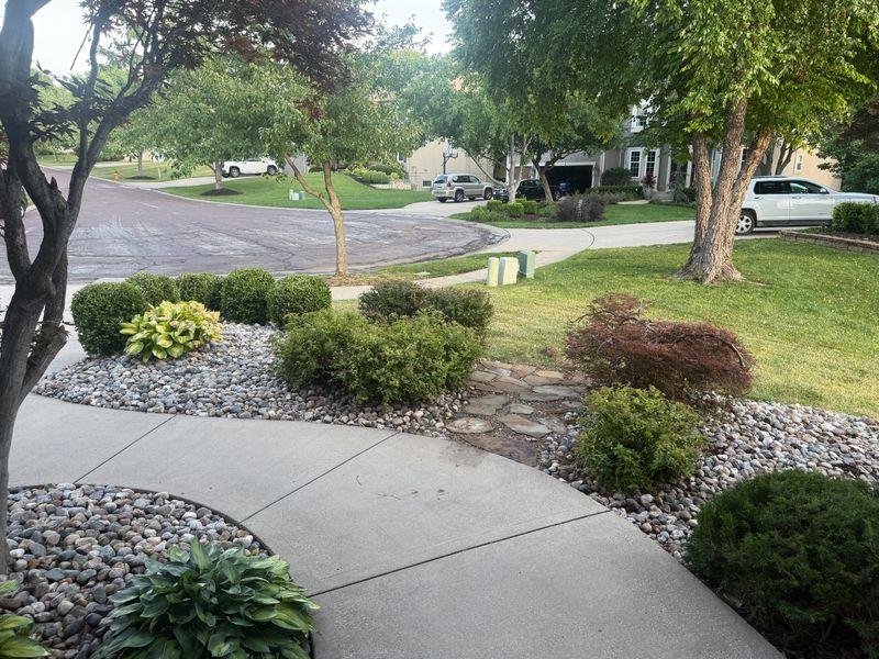 Landscape bed cleanup and maintenance