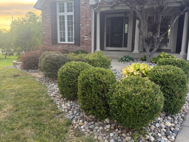 Hedge and shrub trimming services