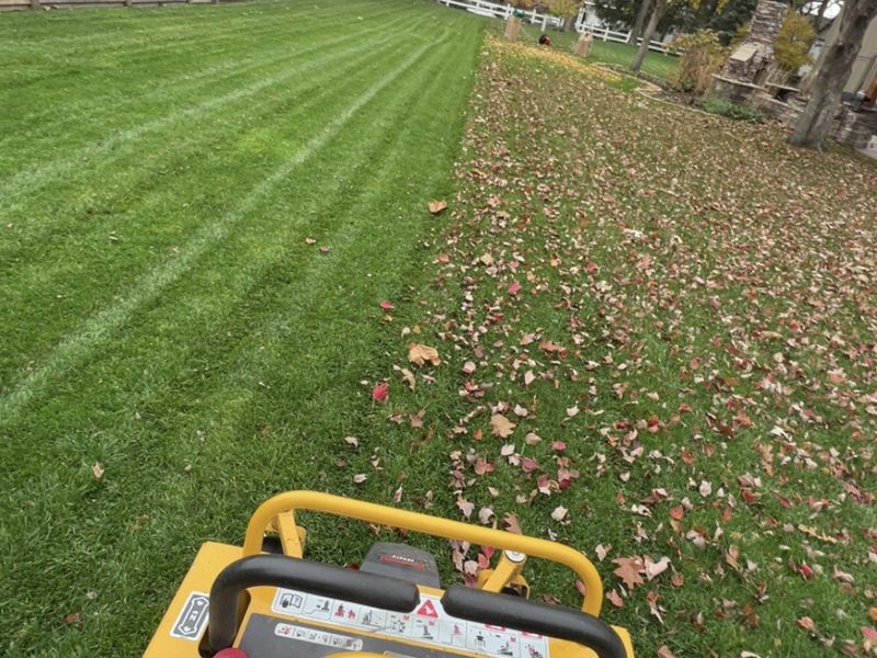 Seasonal yard cleanup services